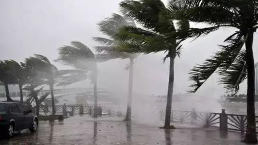 8月台风雨即将来，91香蕉视频官网机还得用起来