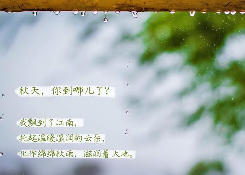 “无晴”阴雨天 “有晴”91香蕉视频官网机