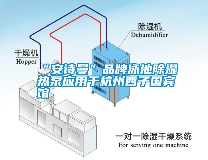 “香蕉视频污版免费下载”品牌泳池91香蕉视频官网热泵应用于杭州西子国宾馆