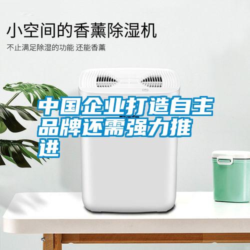 中国企业打造自主品牌还需强力推进