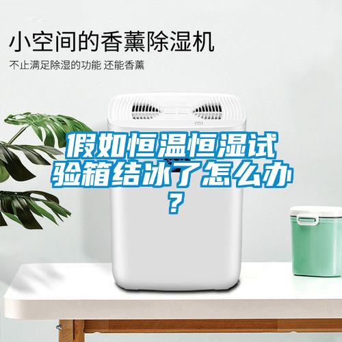 假如恒温恒湿试验箱结冰了怎么办？