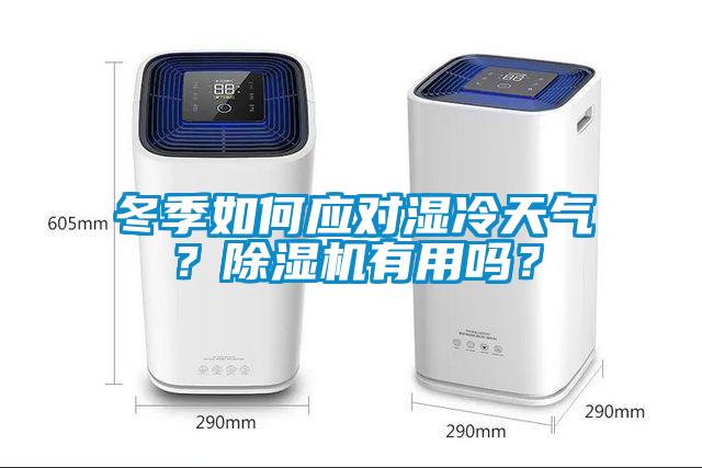 冬季如何应对湿冷天气？91香蕉视频官网机有用吗？