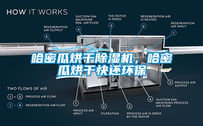 哈密瓜烘干91香蕉视频官网机，哈密瓜烘干快还环保