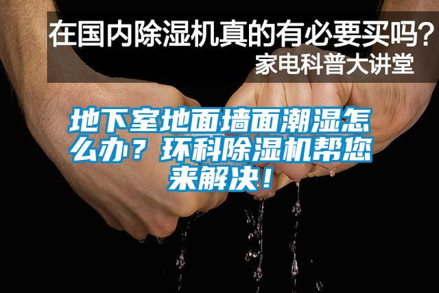 地下室地面墙面潮湿怎么办？环科91香蕉视频官网机帮您来解决！