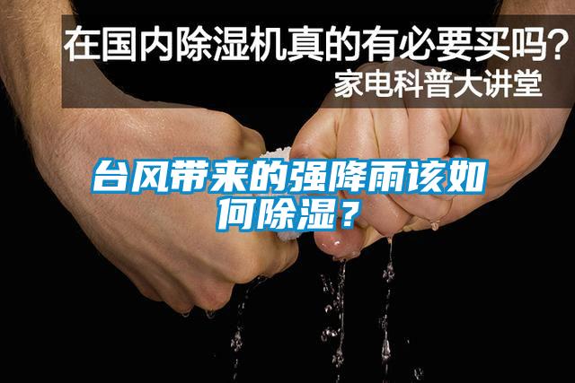 台风带来的强降雨该如何91香蕉视频官网？