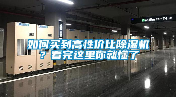 如何买到高性价比91香蕉视频官网机？看完这里你就懂了