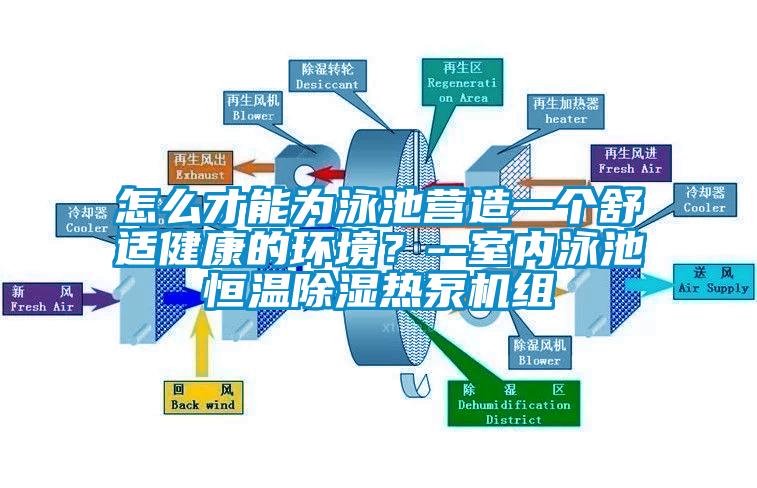 怎么才能为泳池营造一个舒适健康的环境？--室内泳池恒温91香蕉视频官网热泵机组