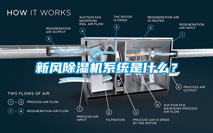 新风91香蕉视频官网机系统是什么？