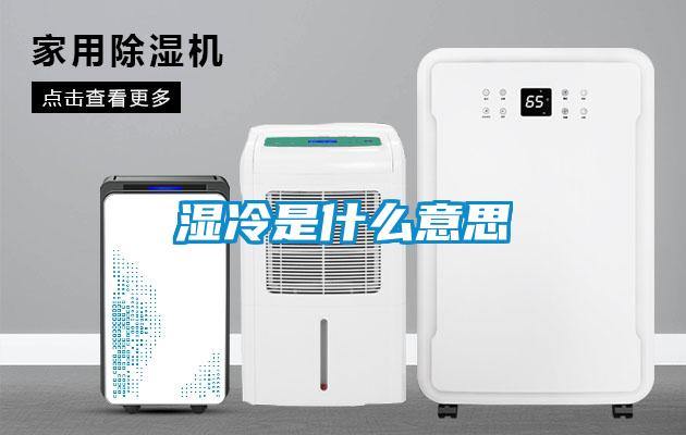 湿冷是什么意思