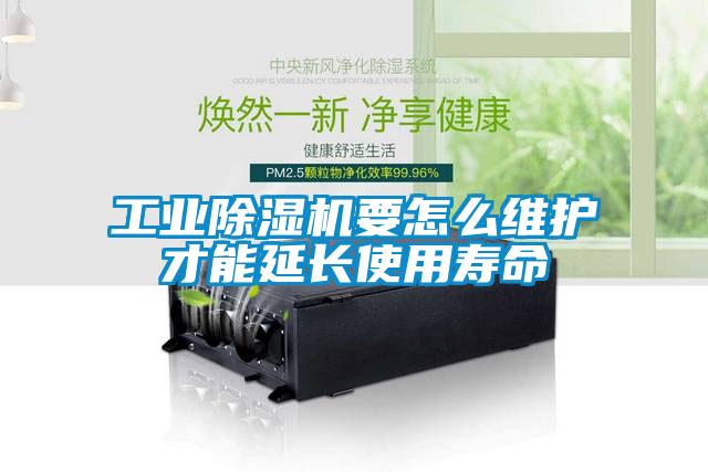 工业91香蕉视频官网机要怎么维护才能延长使用寿命