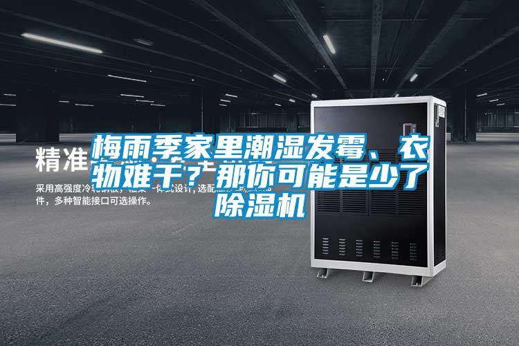 梅雨季家里潮湿发霉、衣物难干？那你可能是少了91香蕉视频官网机