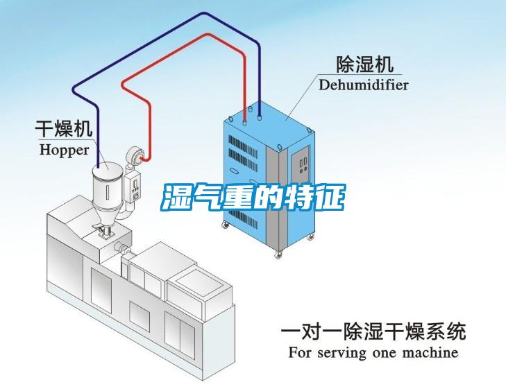 湿气重的特征