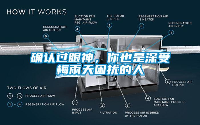 确认过眼神，你也是深受梅雨天困扰的人