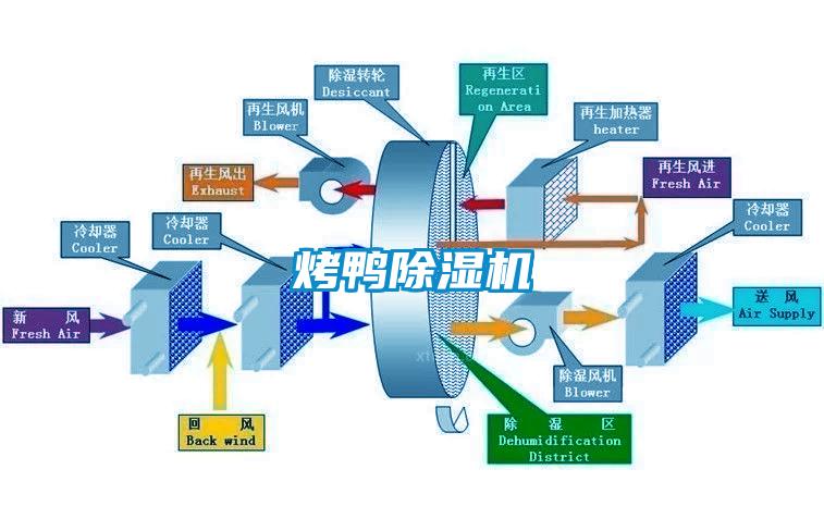 烤鸭91香蕉视频官网机