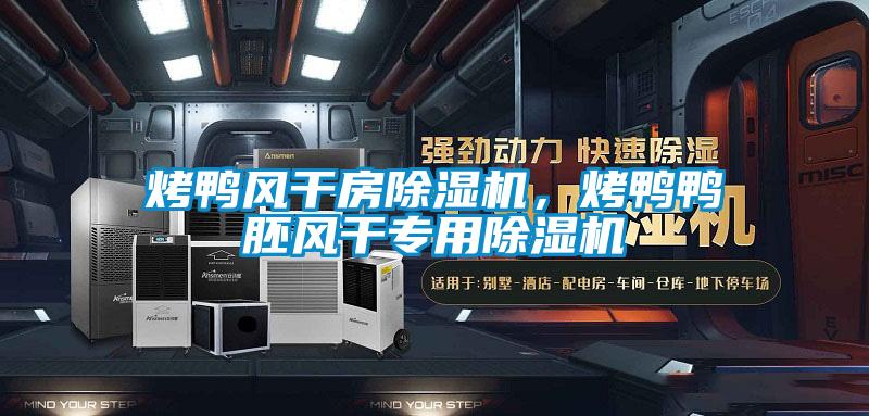 烤鸭风干房91香蕉视频官网机，烤鸭鸭胚风干专用91香蕉视频官网机