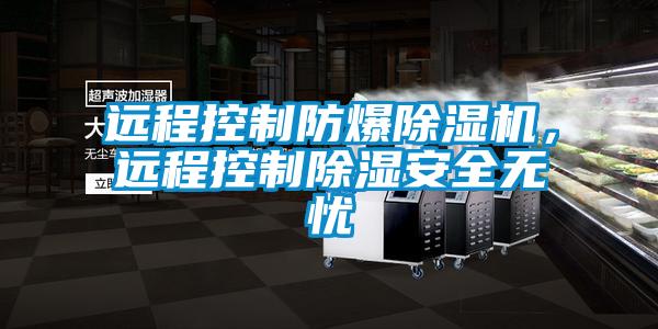 远程控制防爆91香蕉视频官网机，远程控制91香蕉视频官网安全无忧