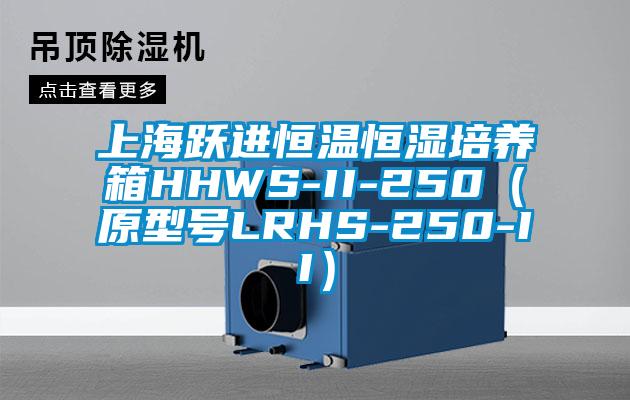 上海跃进恒温恒湿培养箱HHWS-II-250（原型号LRHS-250-II）