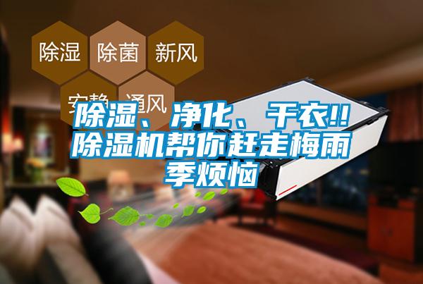 91香蕉视频官网、净化、干衣!!91香蕉视频官网机帮你赶走梅雨季烦恼