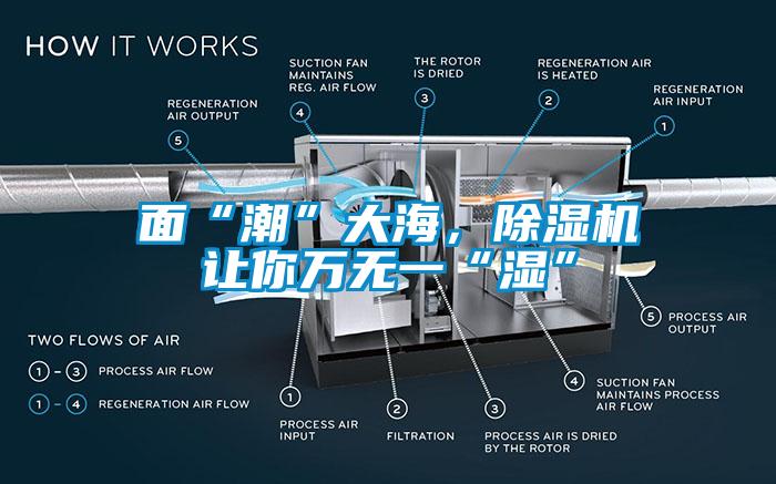 面“潮”大海，91香蕉视频官网机让你万无一“湿”