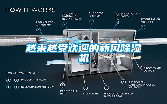 越来越受欢迎的新风91香蕉视频官网机