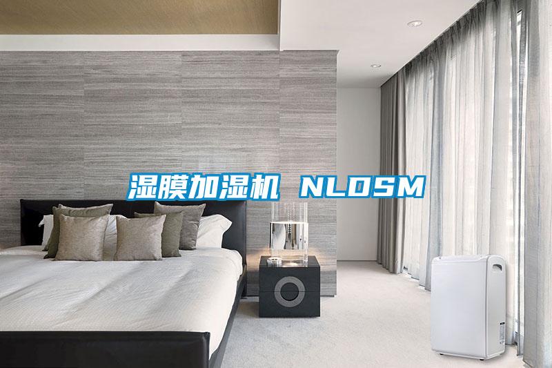 湿膜加湿机 NLDSM