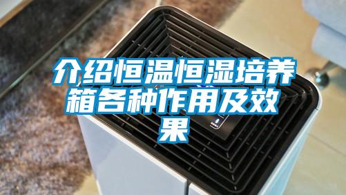 介绍恒温恒湿培养箱各种作用及效果