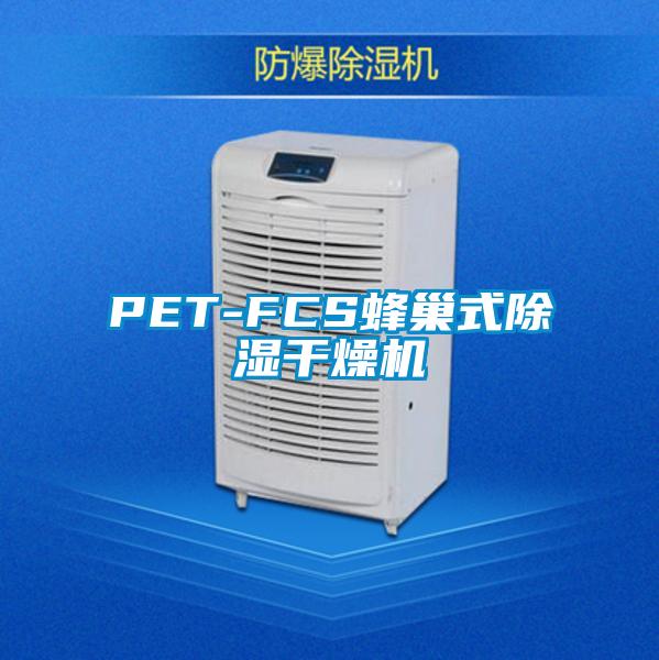 PET-FCS蜂巢式91香蕉视频官网干燥机