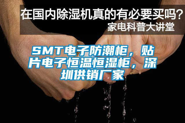 SMT电子防潮柜，贴片电子恒温恒湿柜，深圳供销厂家