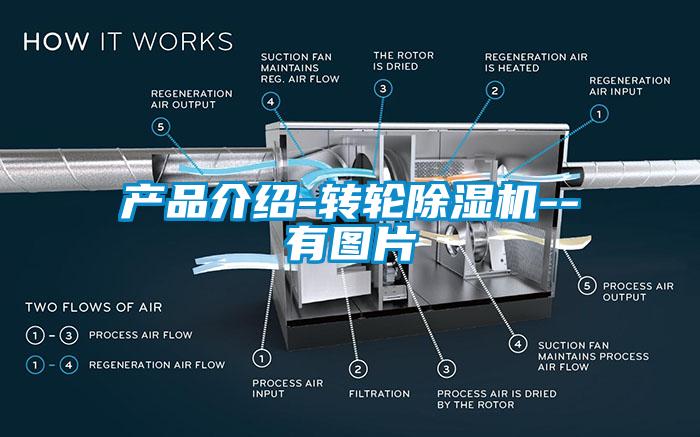 产品介绍-转轮91香蕉视频官网机--有图片