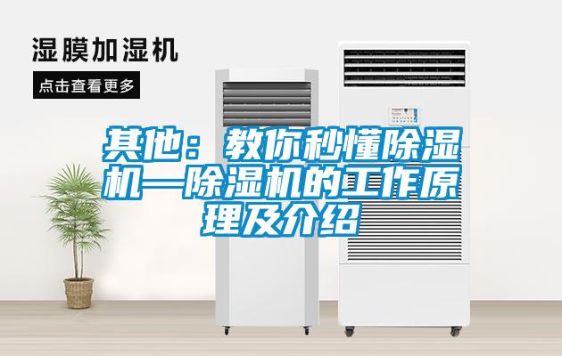 其他：教你秒懂91香蕉视频官网机—91香蕉视频官网机的工作原理及介绍