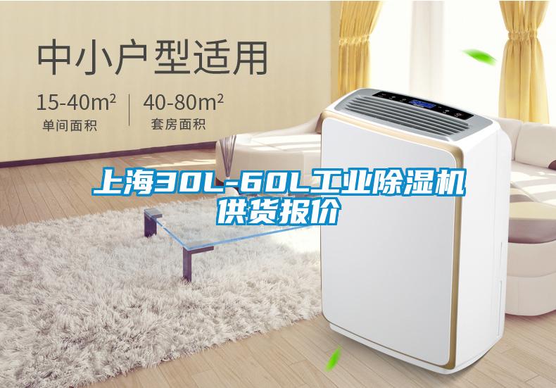 上海30L-60L工业91香蕉视频官网机供货报价