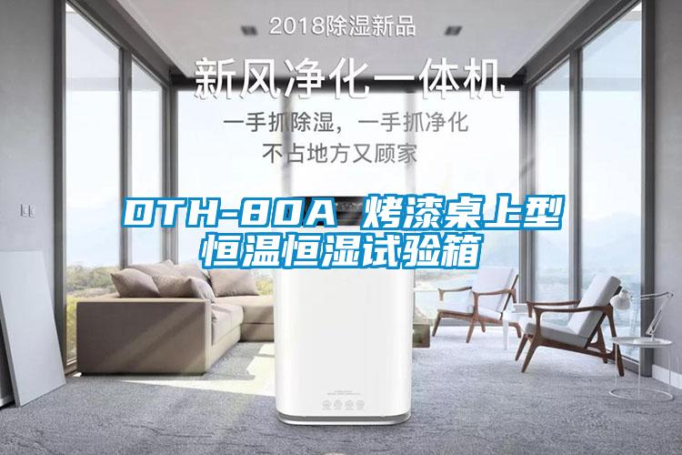 DTH-80A 烤漆桌上型恒温恒湿试验箱