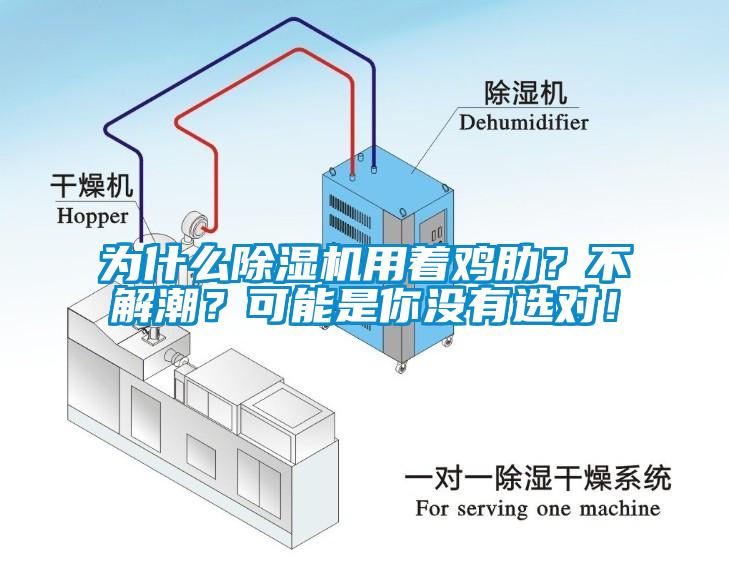 为什么91香蕉视频官网机用着鸡肋？不解潮？可能是你没有选对！