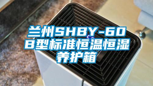 兰州SHBY-60B型标准恒温恒湿养护箱