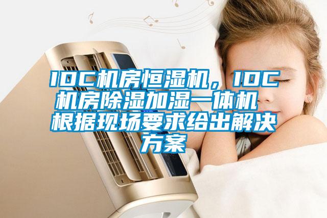 IDC机房恒湿机，IDC机房91香蕉视频官网加湿一体机 根据现场要求给出解决香蕉色色视频