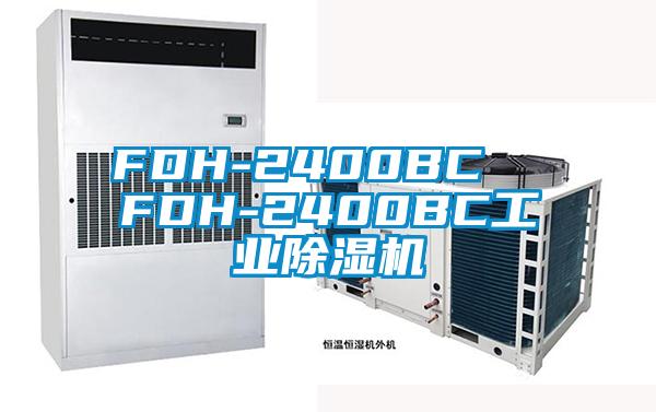 FDH-2400BC  FDH-2400BC工业91香蕉视频官网机