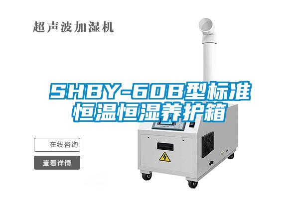 SHBY-60B型标准恒温恒湿养护箱