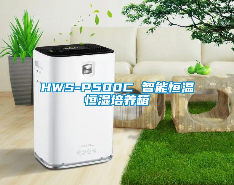 HWS-P500C 智能恒温恒湿培养箱