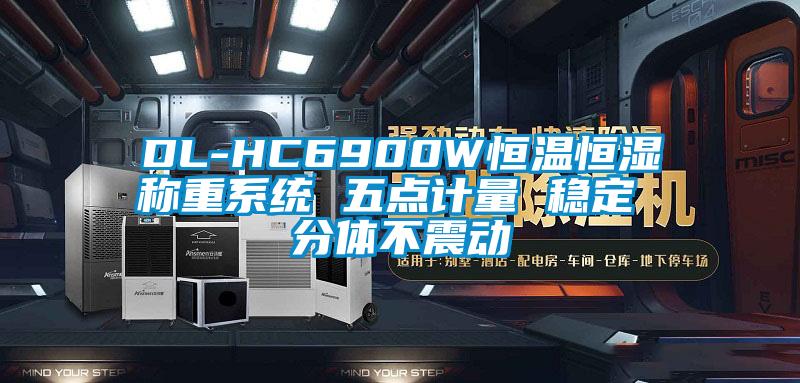 DL-HC6900W恒温恒湿称重系统 五点计量 稳定 分体不震动