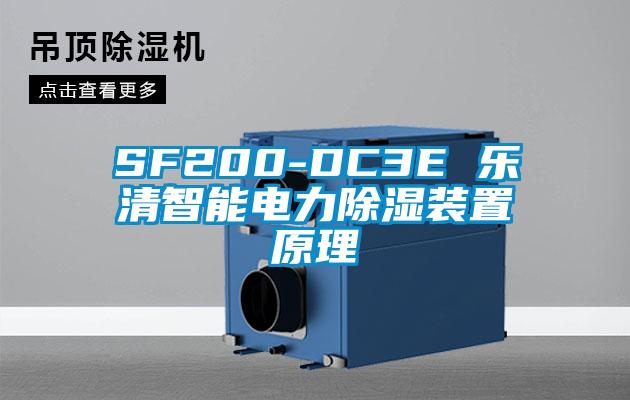 SF200-DC3E 乐清智能电力91香蕉视频官网装置原理