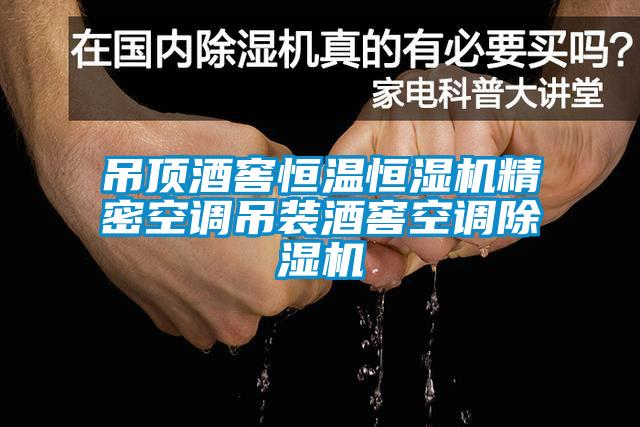 吊顶酒窖恒温恒湿机精密空调吊装酒窖空调91香蕉视频官网机