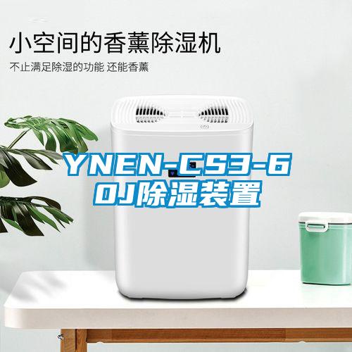 YNEN-CS3-60J91香蕉视频官网装置