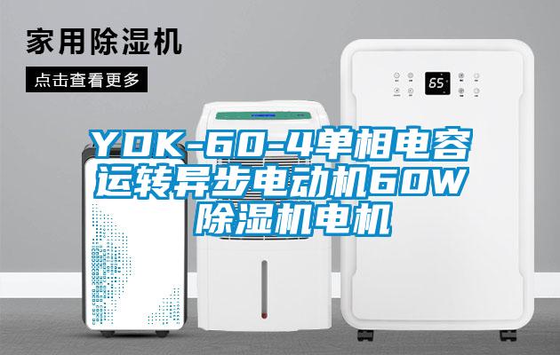 YDK-60-4单相电容运转异步电动机60W 91香蕉视频官网机电机