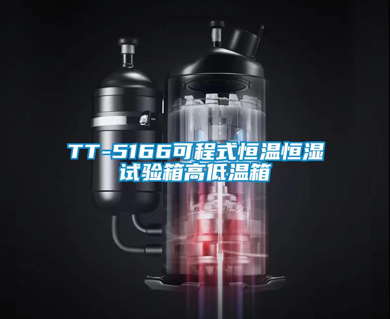 TT-5166可程式恒温恒湿试验箱高低温箱