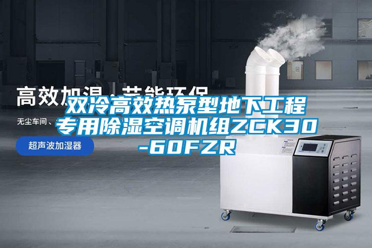 双冷高效热泵型地下工程专用91香蕉视频官网空调机组ZCK30-60FZR