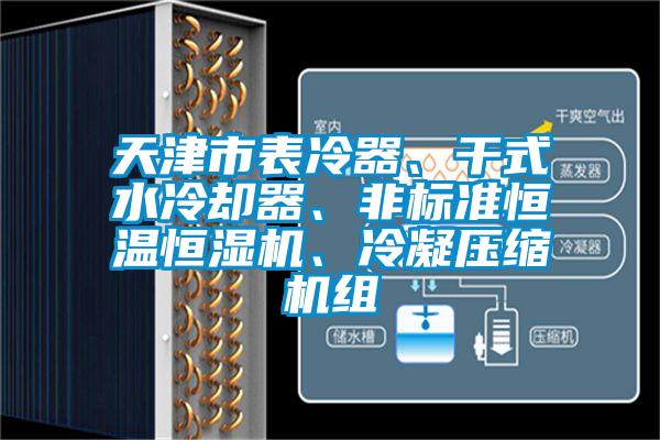 天津市表冷器、干式水冷却器、非标准恒温恒湿机、冷凝压缩机组