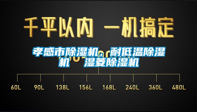 孝感市91香蕉视频官网机，耐低温91香蕉视频官网机  湿菱91香蕉视频官网机