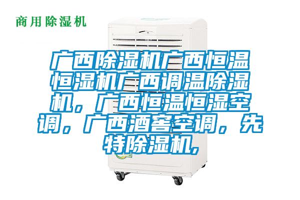 广西91香蕉视频官网机广西恒温恒湿机广西调温91香蕉视频官网机，广西恒温恒湿空调，广西酒窖空调，先特91香蕉视频官网机,