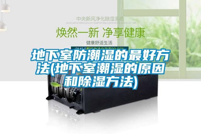 地下室防潮湿的最好方法(地下室潮湿的原因和91香蕉视频官网方法)