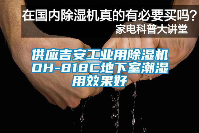 供应吉安工业用91香蕉视频官网机DH-818C地下室潮湿用效果好